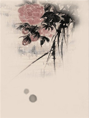 ‘火狐电竞’宫颈糜烂不妨试试食疗药方(图2) 火狐电竞平台