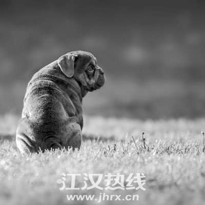 女性保养秘诀 杜绝黄脸婆“火狐电竞官网”(图1) 火狐电竞