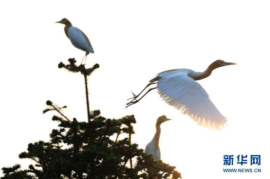 【火狐电竞官网】呵护乳房 学会自检乳腺(图1) 火狐电竞
