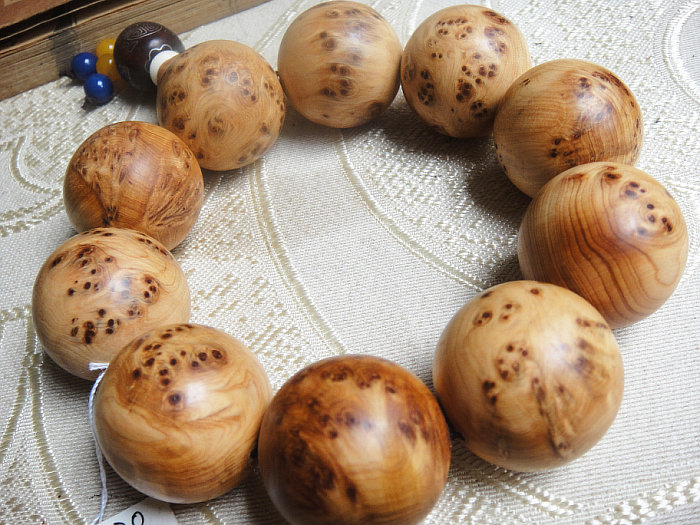 火狐电竞平台-万春小学参加2019年中国(成都)少儿啦啦操精英赛获佳绩(图1) 火狐电竞