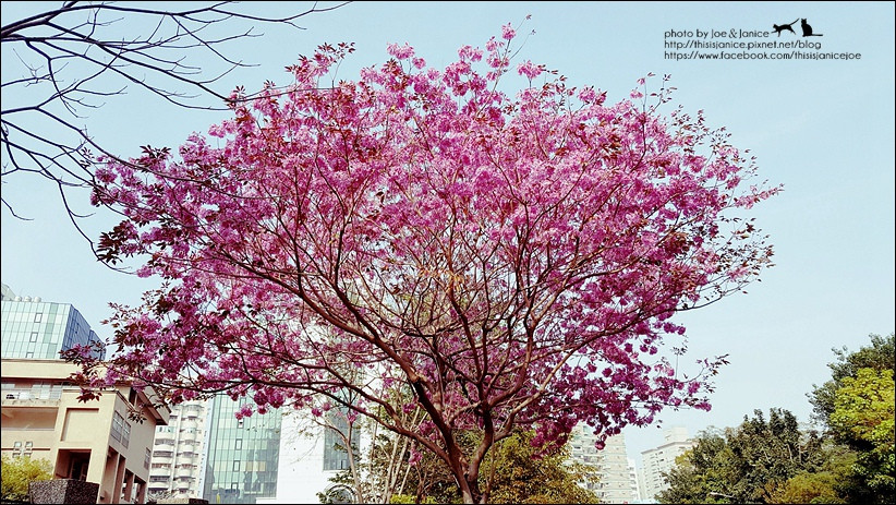 卵巢出问题或会引起停经_火狐电竞平台(图3) 火狐电竞官网