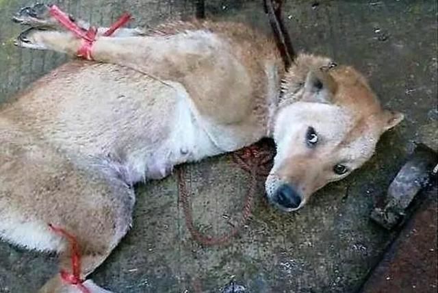 “火狐电竞平台”徐庄践行师德标准做最美幼儿教师(图2) 火狐电竞官网